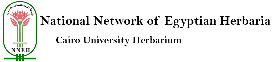 National Network of Egyptian Herbaria